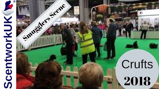 Scentwork UK display at Crufts 2018 [upl. by Foulk]