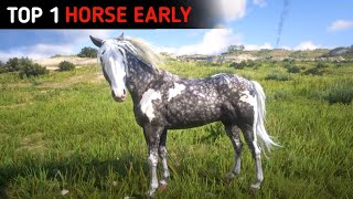 Proper Way To Get The Best amp Fastest Missouri Fox Trotter Horse Early  RDR2 [upl. by Wu]