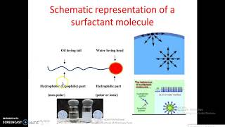 Understanding the Surfactants Behavior used in Pharmaceutical [upl. by Corette]