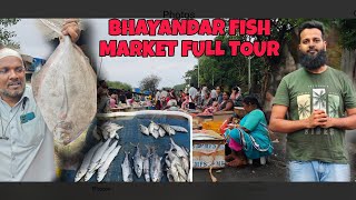 BHAYANDAR FISH MARKET 🦈🐬🦀🦀🐟🐬 FULL TOUR WITH DETAILS SOMETHING SPECIAL FOR FISH LOVERS 🐬🐟🦀🦈 [upl. by Cerallua]