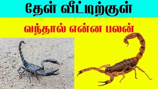 தேள் வீட்டிற்குள் வந்தால் என்ன பலன் Indian Astrology predictions karuvandu T Tamil Technology [upl. by Aniri]