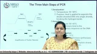 PCR and Primer Specificity Enhancing Amplification Accuracy  Dr Jyotsna Daymas Insights [upl. by Brindell]