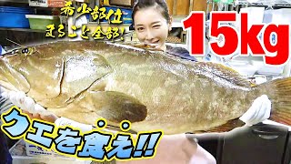 【高級魚】15kgのクエまるごと調理！？希少部位も全部quot食えquot！こんな豪華なフルコースは初めて【クエの下処理、捌き方、調理法】 [upl. by Aical]