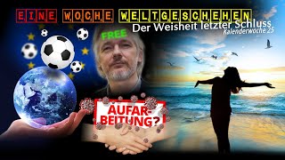 Der Weisheit letzter Schluss  Freiheit die ich meine [upl. by Mable]