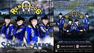 Los Renegados Del Norte Álbum 2018 [upl. by Admana445]