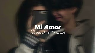 Mi Amor Slowed  Reverb  Sharn  Desi Avenue [upl. by Enived97]