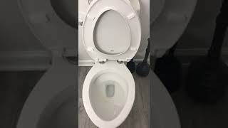 Loose toilet seat fix for newer style seats [upl. by Tocs981]