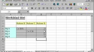 EXCEL Les 6 werkbladen cellen kolommen rijen optellen aftrekken delen vermenigvuldigen [upl. by Elleniad332]