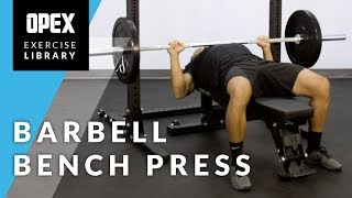 Barbell Bench Press  OPEX Exercise Library [upl. by Ahseki631]