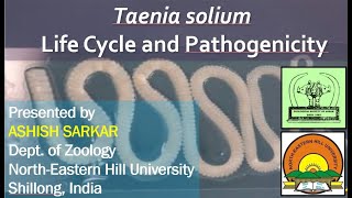 Taenia solium Life Cycle and Pathogenicity [upl. by Itsirk785]