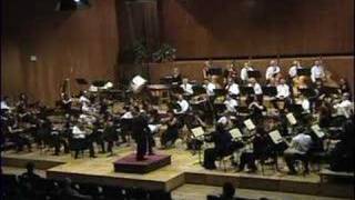 Brahms Symphony3 movement 3 [upl. by Eelyr18]