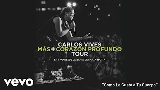 Carlos Vives  Como Le Gusta a Tu Cuerpo En Vivo Desde Santa MartaCover Audio [upl. by Trudy]