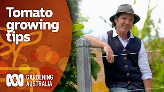 This tomato expert has some top tips for growing a great crop  Gardening 101  Gardening Australia [upl. by Zola524]