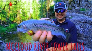 Trout Fishing Californias McCloud River Falls [upl. by Aehtna]