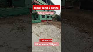 3 katha tribal land for sale in Milan More DEVIDANGA 📞 7908092731 [upl. by Vala]