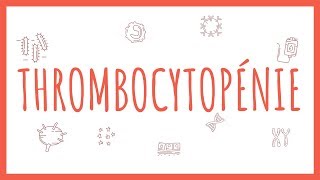 Sémiologie Hématologique  la Thrombocytopénie [upl. by Nitniuq296]