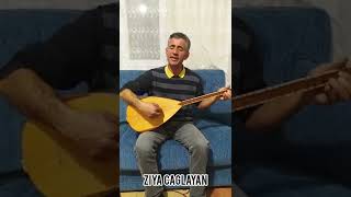 Kangallı Ziya Caglayan [upl. by Nereil]