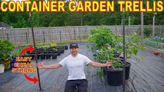 The BEST Container Garden Trellis Ever Complete DIY Install Guide [upl. by Suivatram]