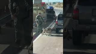 K9 border patrol agents 2023 almost found the CLAVÓ [upl. by Brocklin]