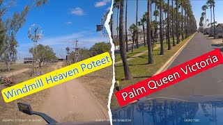 Windmill Heaven Poteet Palm Queen Victoria [upl. by Yard]