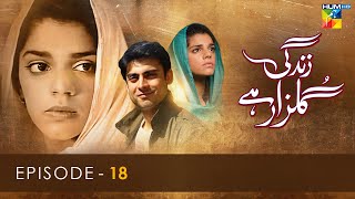 Zindagi Gulzar Hai  Episode 18   HD    Fawad Khan amp Sanam Saeed   HUM TV Drama [upl. by Semadar134]