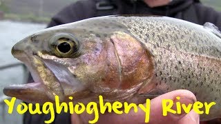 Youghiogheny River Trout Fishing [upl. by Faxon]