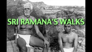 Talks on Sri Ramana Maharshi Narrated by David Godman  Sri Ramanas Walks [upl. by Euqinemod]