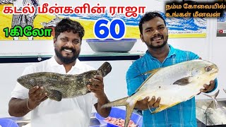 உங்கள் மீனவன் நம்ம கோவையில்  ungal meenavan shop in coimbatore  Tamil vlogger [upl. by Oelak]