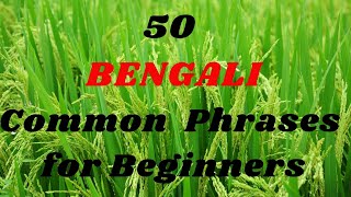 50 Common BENGALI Phrases for Beginners [upl. by Burkle]