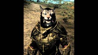 Skyrim Sounds  Some Khajiit Voices Male [upl. by Sneed]