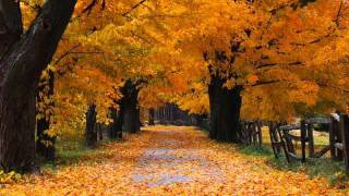 Antonio Vivaldi  Autumn [upl. by Boff]