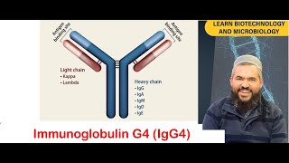 L 62 What is Immunoglobulin G4 Understanding its structure and Its Role in Immunity [upl. by Hartzke370]