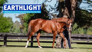 AUS Earthlight 2022 Stallion Showreel [upl. by Farmer]