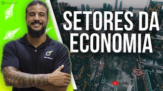 Setores da Economia  Geobrasil Prof Rodrigo Rodrigues [upl. by Eclud]