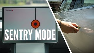 Tesla Sentry Mode and Dashcam Tutorial  2022 Update [upl. by Janik865]