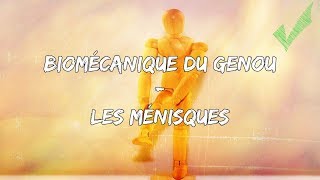 Biomécanique du genou  les ménisques [upl. by Mill]