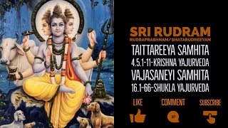 Sri Rudram  Rudri Path  Shata Rudreeyam  Namakam  Chamakam With Lyrics and Meaning [upl. by Lunetta]