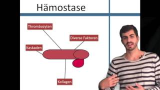 Hämostase Die Grundlagen [upl. by Storz457]