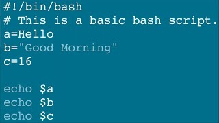 Advanced Bash Scripting Tutorial [upl. by Sapphire]