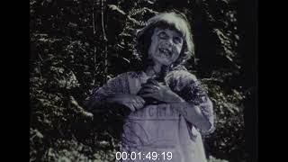 Ladislas Starevitch Stop Motion Nightingale and a Little Girl 1920s  Archive Film 1087423 [upl. by Limemann970]