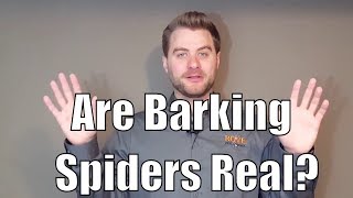 Are Barking Spiders Real [upl. by Kcaz]