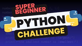 BASIC Python Coding Challenge EASY MODE [upl. by Merwyn]