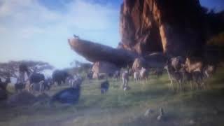 The Lion King 2019  Happy Ending and End Credits HD [upl. by Tibbetts]