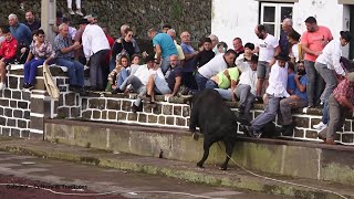 Tourada JAF  Vila São Sebastião 2021  Ilha Terceira  Açores  Portugal [upl. by Vasili869]