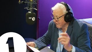 Sir David Attenborough narrates Adeles Hello [upl. by Nac]