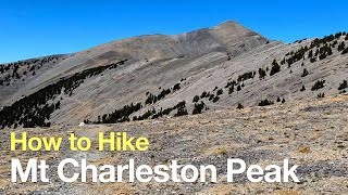 Mt Charleston Peak Hike – South Loop Trail  HikingGuycom [upl. by Ellehsal]