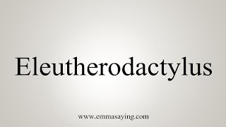 How To Say Eleutherodactylus [upl. by Neemsaj]