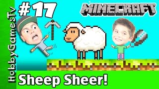 Minecraft HobbyPig 17 Survival World Sheering Sheep HobbyGamesTV [upl. by Armitage187]