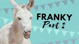 Frankys introduction to our fields part 2  Easy Horse Care Rescue Centre [upl. by Etam886]