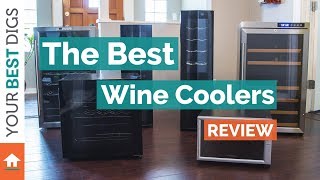 Best Wine Coolers Review [upl. by Ahsiek]